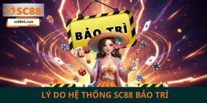 Lý do hệ thống SC88 bảo trì