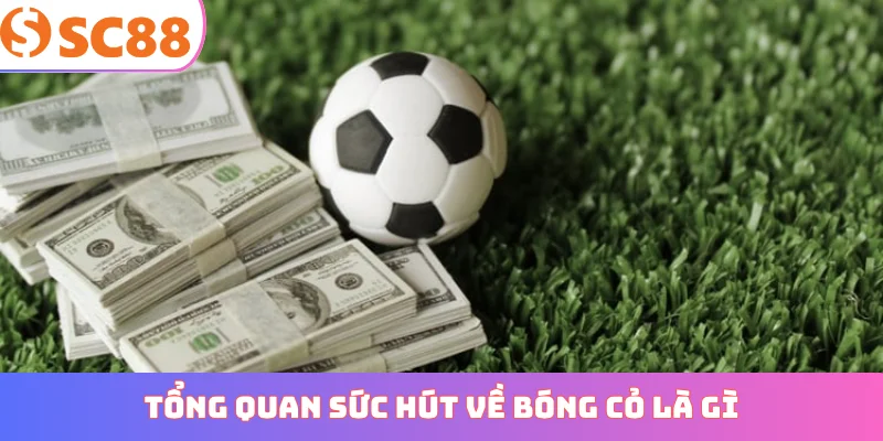 Tổng quan sức hút về bóng cỏ là gì
